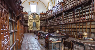 <strong>A Biblioteca mais bonita do Brasil</strong>