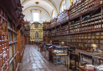 <strong>A Biblioteca mais bonita do Brasil</strong>